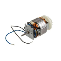 Двигатель EST-14 820-1100W для кухонных комбайнов Gorenje 405454